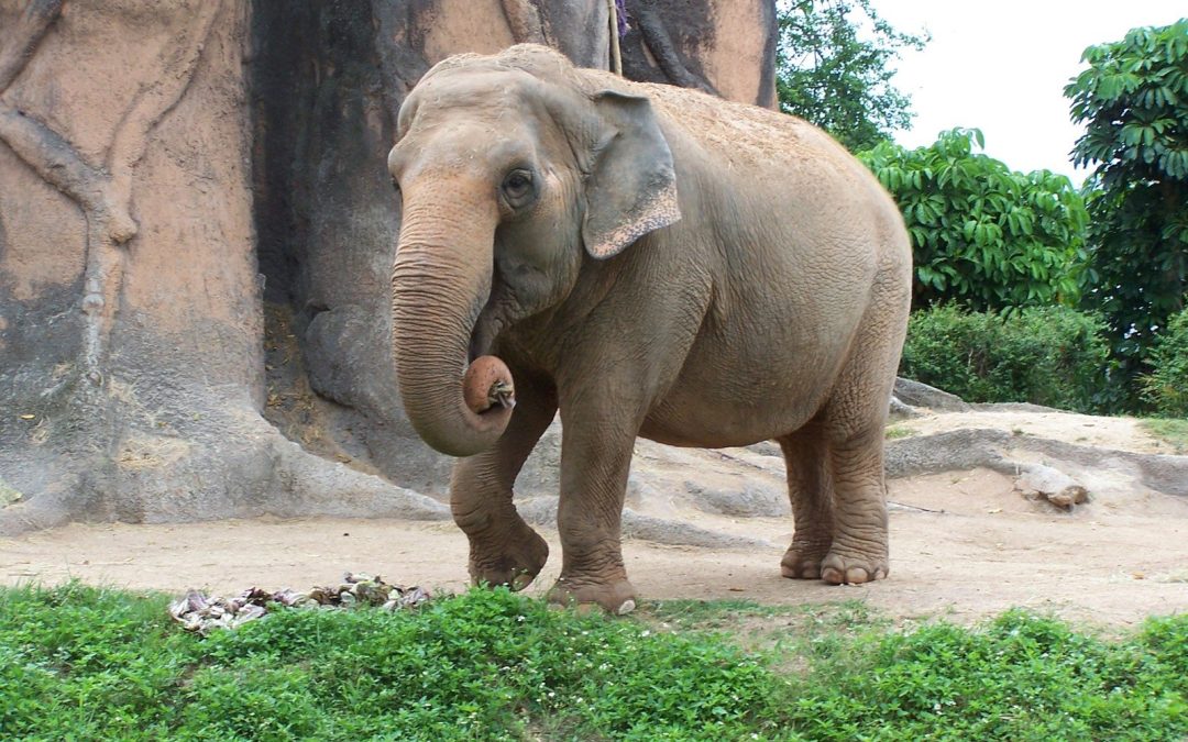 How to Eat Technology in your Shop? One Byte at a Time