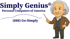 simply-genius-integration-levels